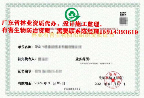 惠陽區(qū)林業(yè)規(guī)劃設(shè)計資質(zhì)認(rèn)證要求的條件和要求