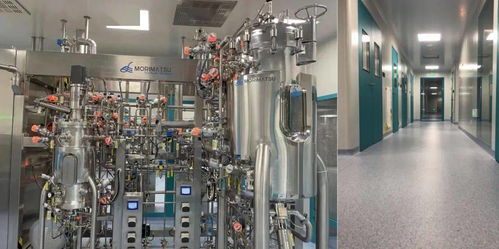 中國首個mrna新冠疫苗工廠成功交付丨森松法瑪度模塊化數字化設計建造