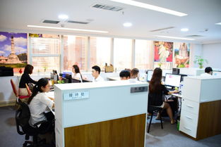 招聘信息 公司前景 規(guī)模 待遇怎么樣