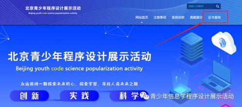 2022年北京青少年程序設(shè)計(jì)展示活動(dòng)結(jié)果查詢 12.4