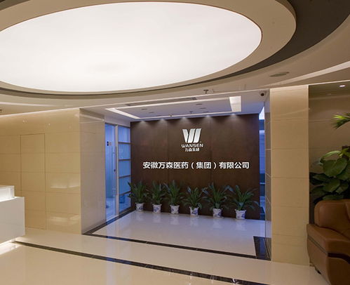 地產(chǎn)品牌策劃 滁州品牌策劃 多年經(jīng)驗 安徽國禎